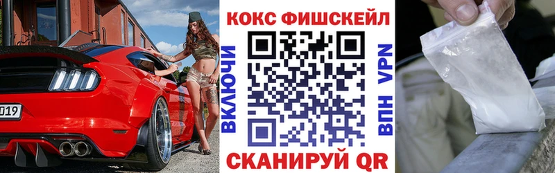 Cocaine FishScale  Купить закладки  Змеиногорск 