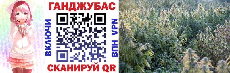 Купить  Змеиногорск  Бошки Шишки семена 